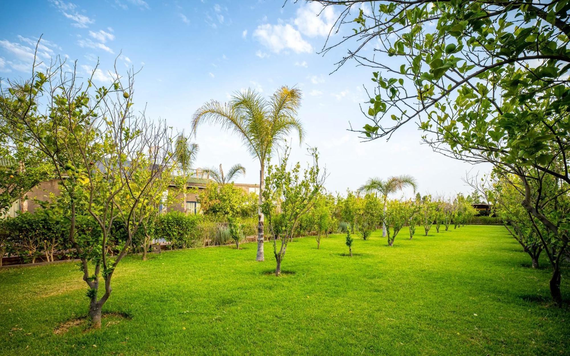 Ouled Moumen The Lemonary Marrakech酒店 外观 照片